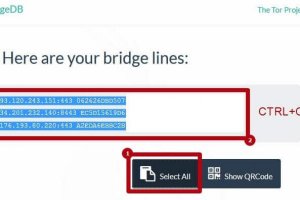 Кракен маркет darknet