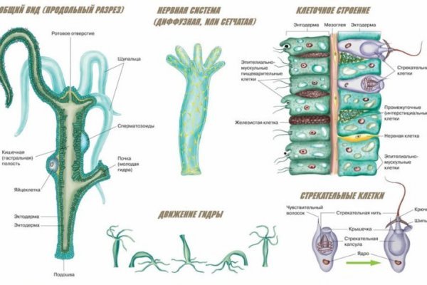 Kraken cc ссылка