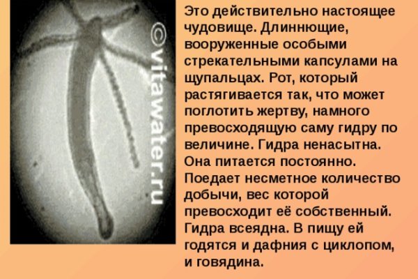 Кракен наркошоп