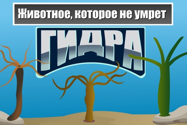 Кракен ссылка официальная в тор